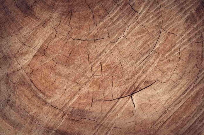 Co zrobić z plastrów drewna