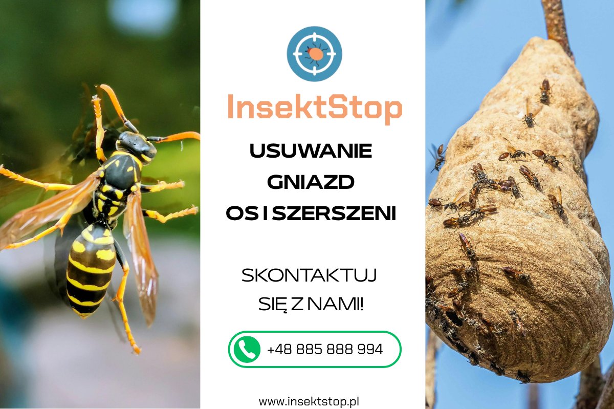 likwidacja os i szerszeni w Warszawie